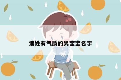 诸姓有气质的男宝宝名字