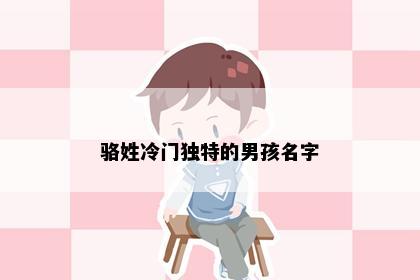 骆姓冷门独特的男孩名字