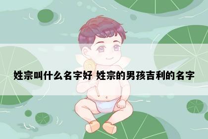 姓宗叫什么名字好 姓宗的男孩吉利的名字