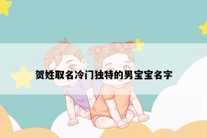 贺姓取名冷门独特的男宝宝名字