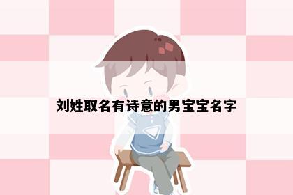 刘姓取名有诗意的男宝宝名字