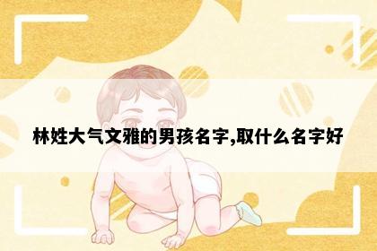 林姓大气文雅的男孩名字,取什么名字好