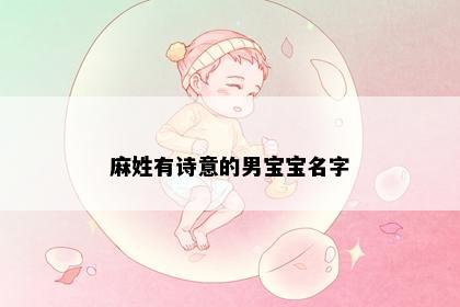 麻姓有诗意的男宝宝名字