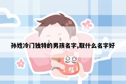 孙姓冷门独特的男孩名字,取什么名字好