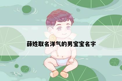 薛姓取名洋气的男宝宝名字