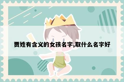 贾姓有含义的女孩名字,取什么名字好