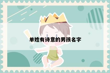 单姓有诗意的男孩名字