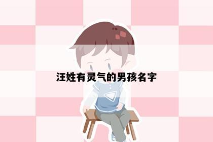 汪姓有灵气的男孩名字