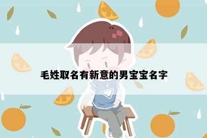 毛姓取名有新意的男宝宝名字