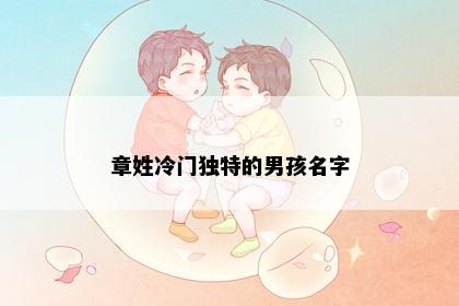 章姓冷门独特的男孩名字