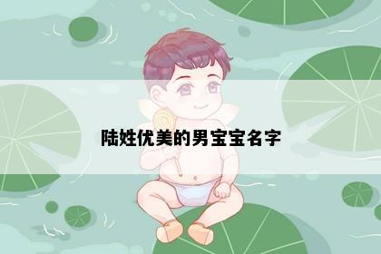 陆姓优美的男宝宝名字