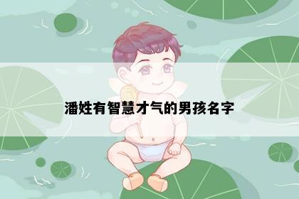 潘姓有智慧才气的男孩名字