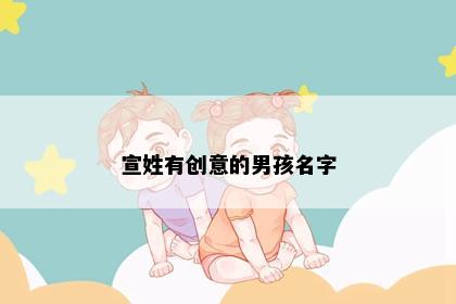 宣姓有创意的男孩名字