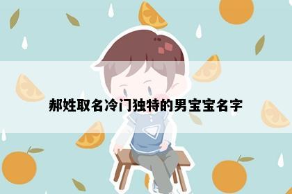 郝姓取名冷门独特的男宝宝名字